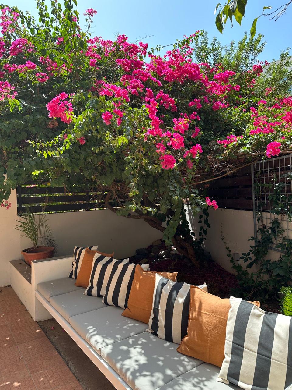 Apartments for rent 75 m² in Nicosia - Agios Andreas, Nicosia